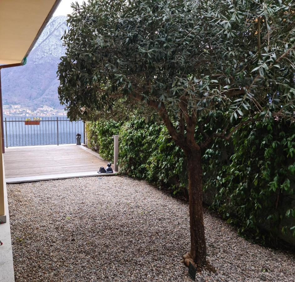 Colonno Panoramica Lago Di Como Kültér fotó